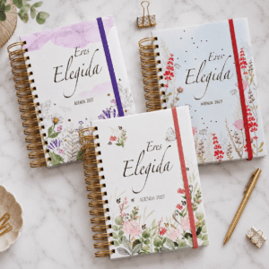 Agenda Eres elegida 2027 Anillada